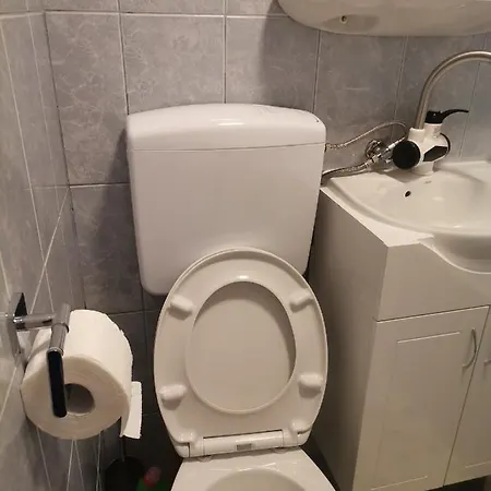Apartman Toljaga Pale